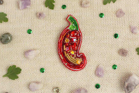 Red Chili Pepper - Readymade Beaded Brooch