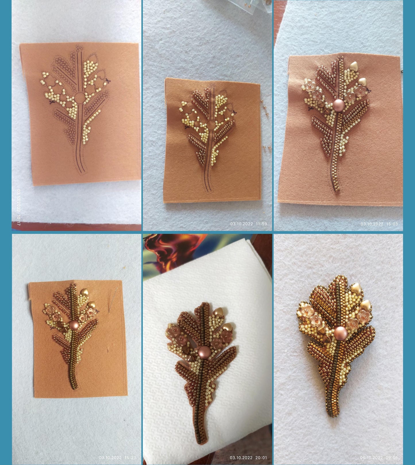 a series of pictures showing different types of flowers