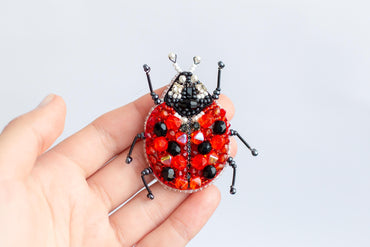 a ladybug brooch is being held in someone's hand