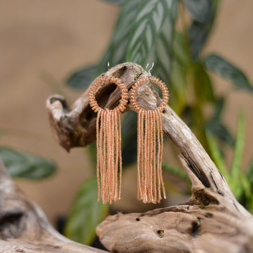 a close up of a pair of earrings on a branch