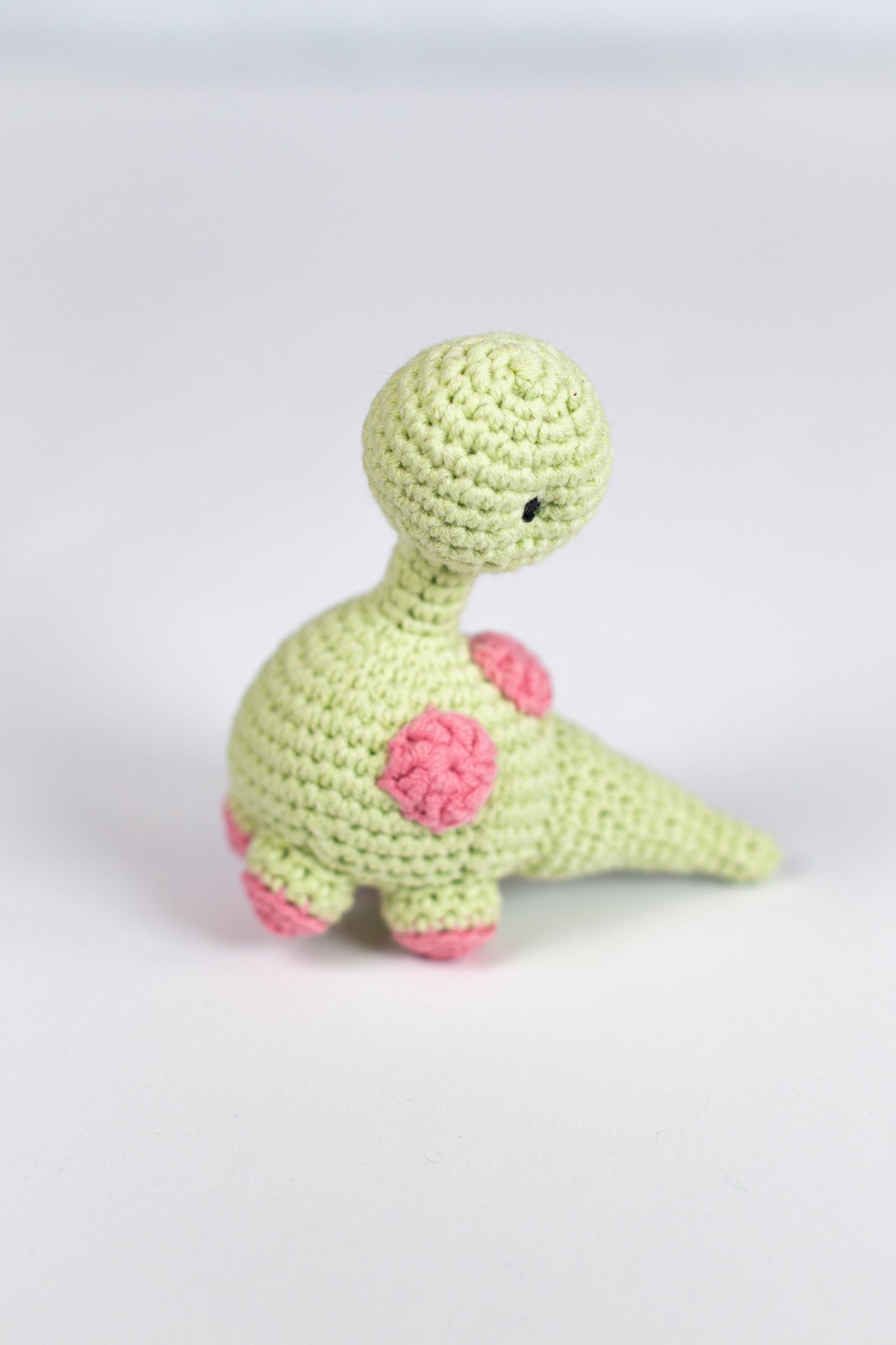Crochet Kit for Adults Dinosaur, Beginner Crochet Kit, Animal Amigurumi DIY Craft Kit