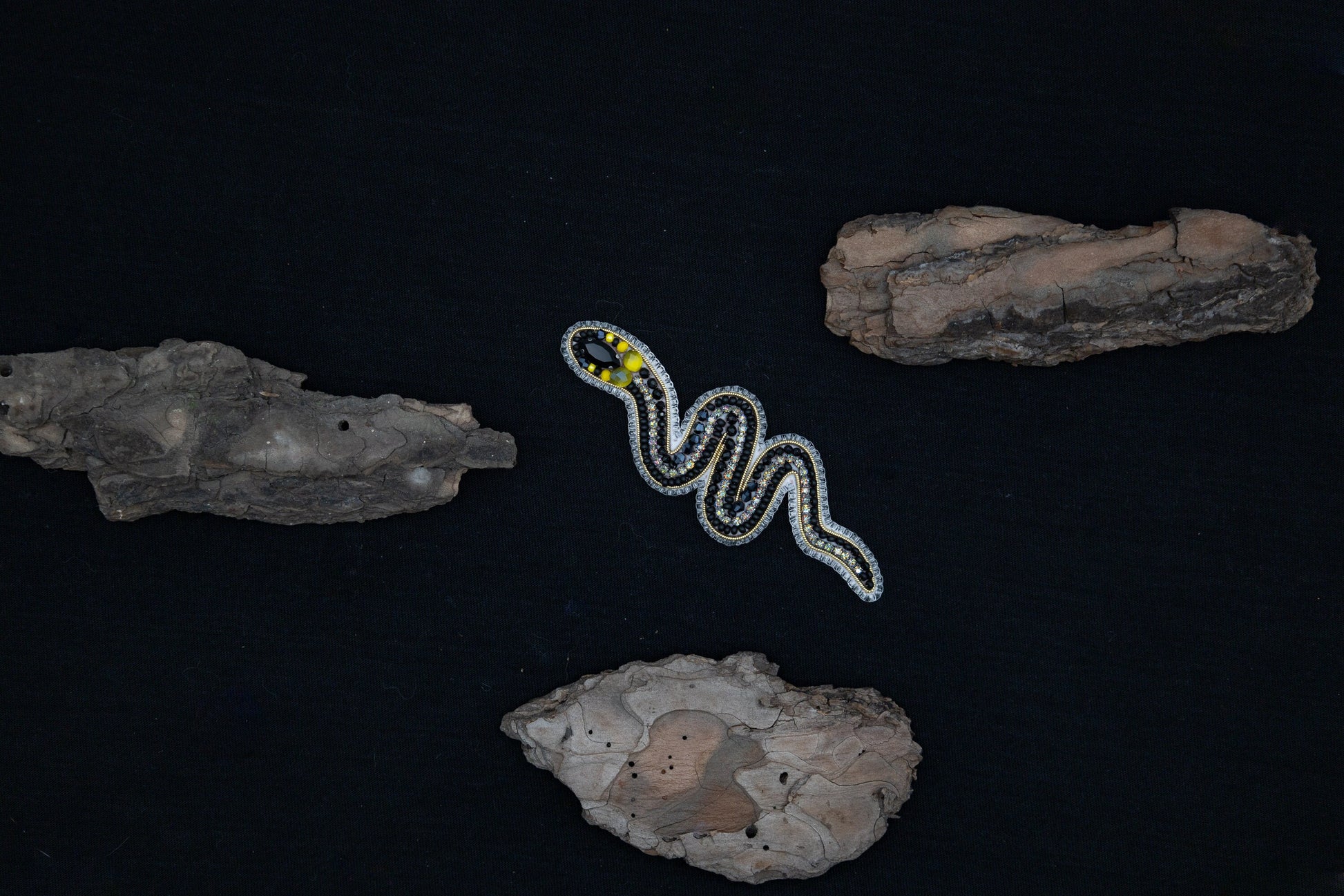 a picture of a snake on a rock
