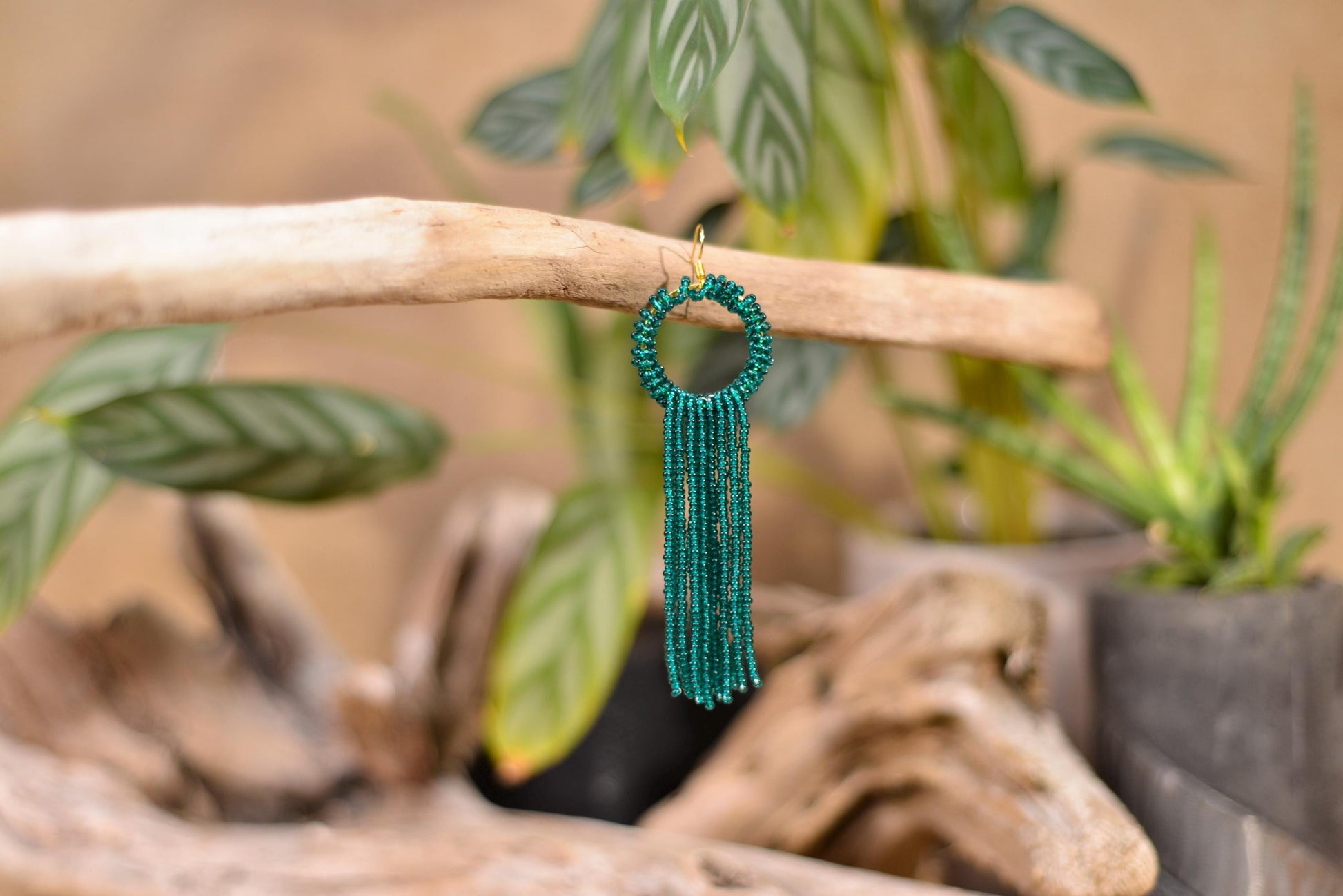 a close up of a plant with a tassel hanging from it