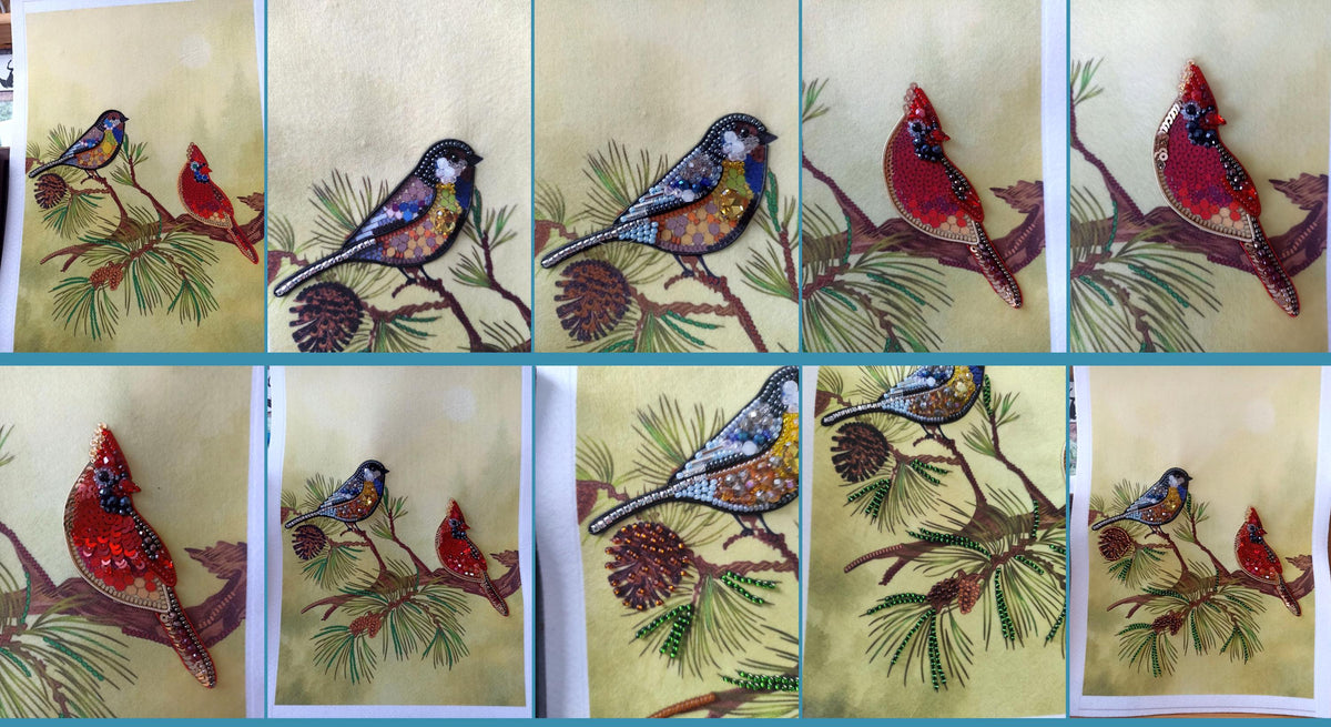 The image is a collage of nine images featuring various birds perched on branches with pine cones. The birds are depicted in different colors and sizes, creating a visually appealing and diverse collection of nature-inspired scenes.