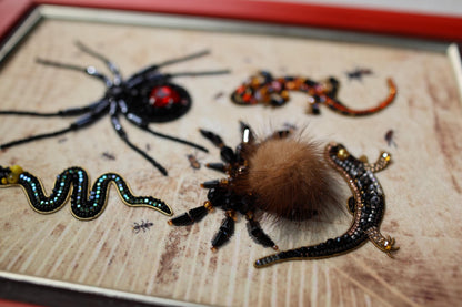 a picture of a picture of a spider and other items