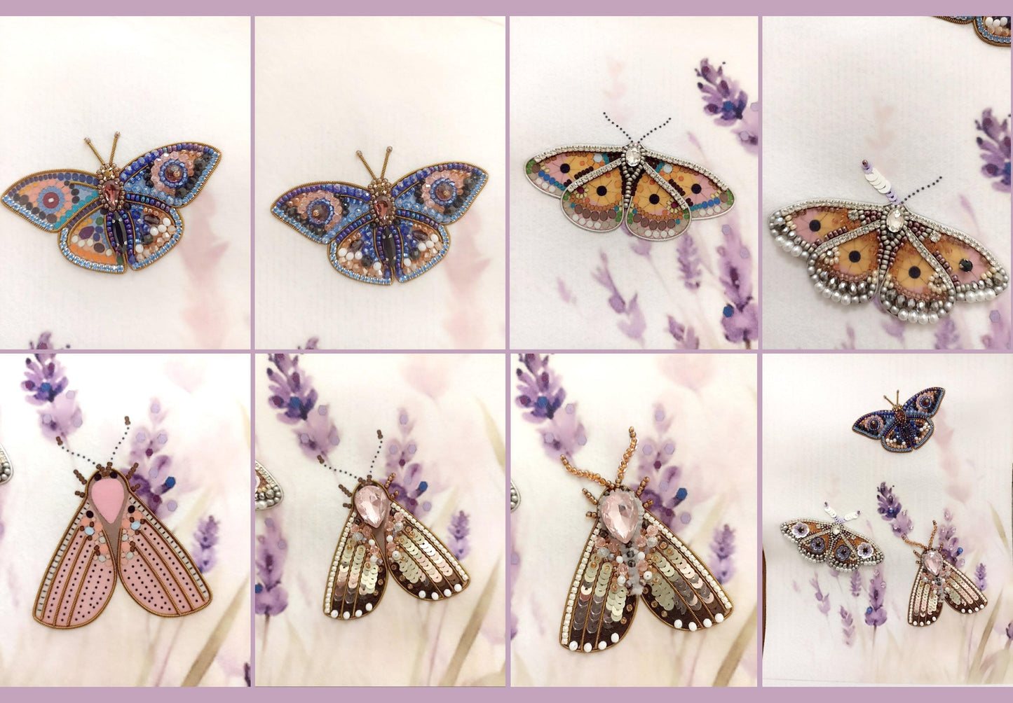 a collage of pictures of different butterflies