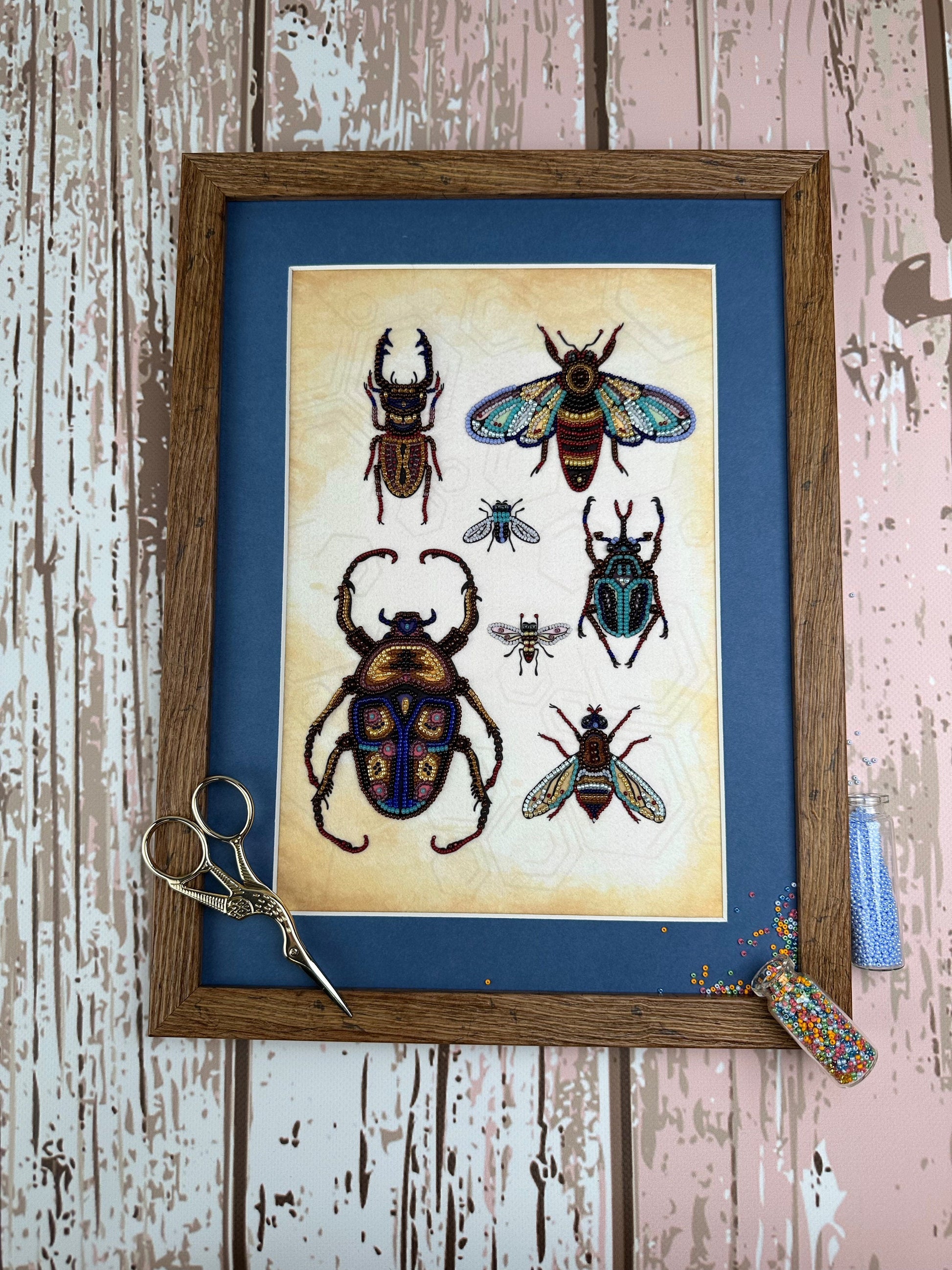 a picture of some bugs on a wall