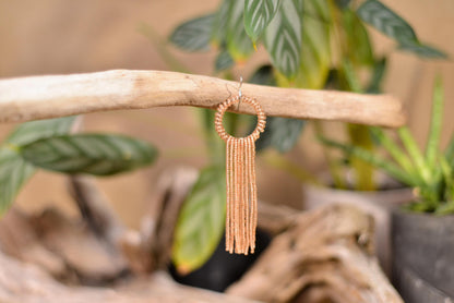 a close up of a branch with a plant in the background