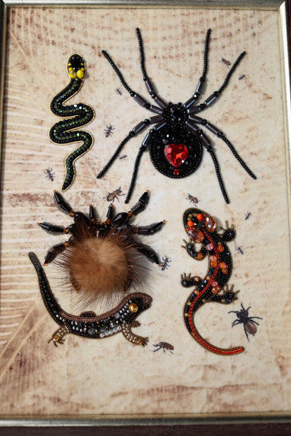 a picture of a spider, a lizard, and a snake