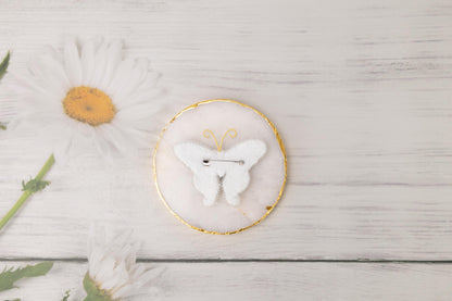 a picture of a white butterfly on a white background