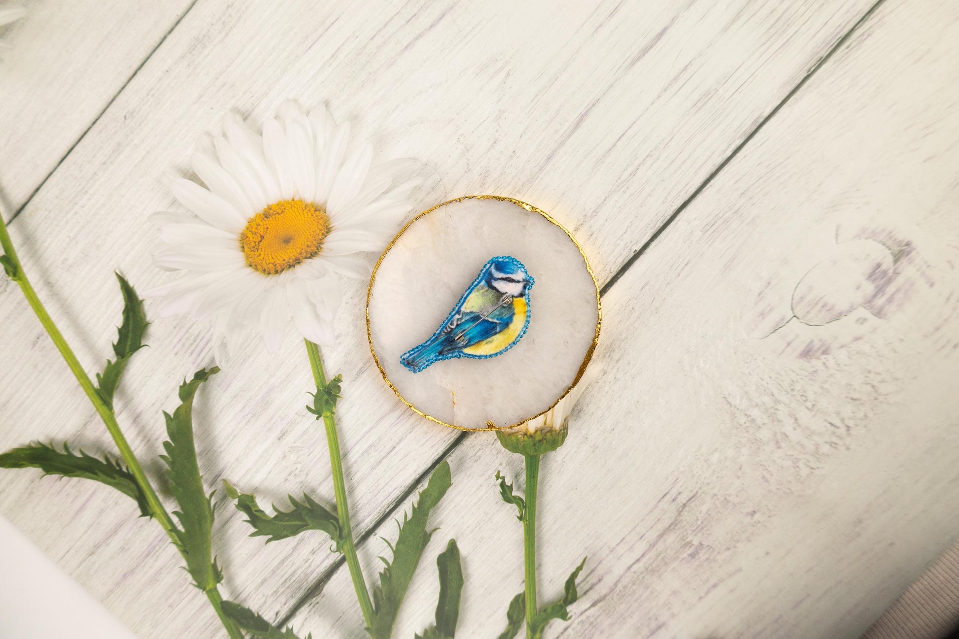 a blue bird sitting on top of a white flower
