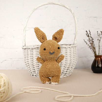 Crochet Bunny Plushie - Amigurumi Toys Readymade