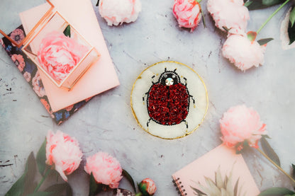 a cake decorated with a lady bug on top of a table