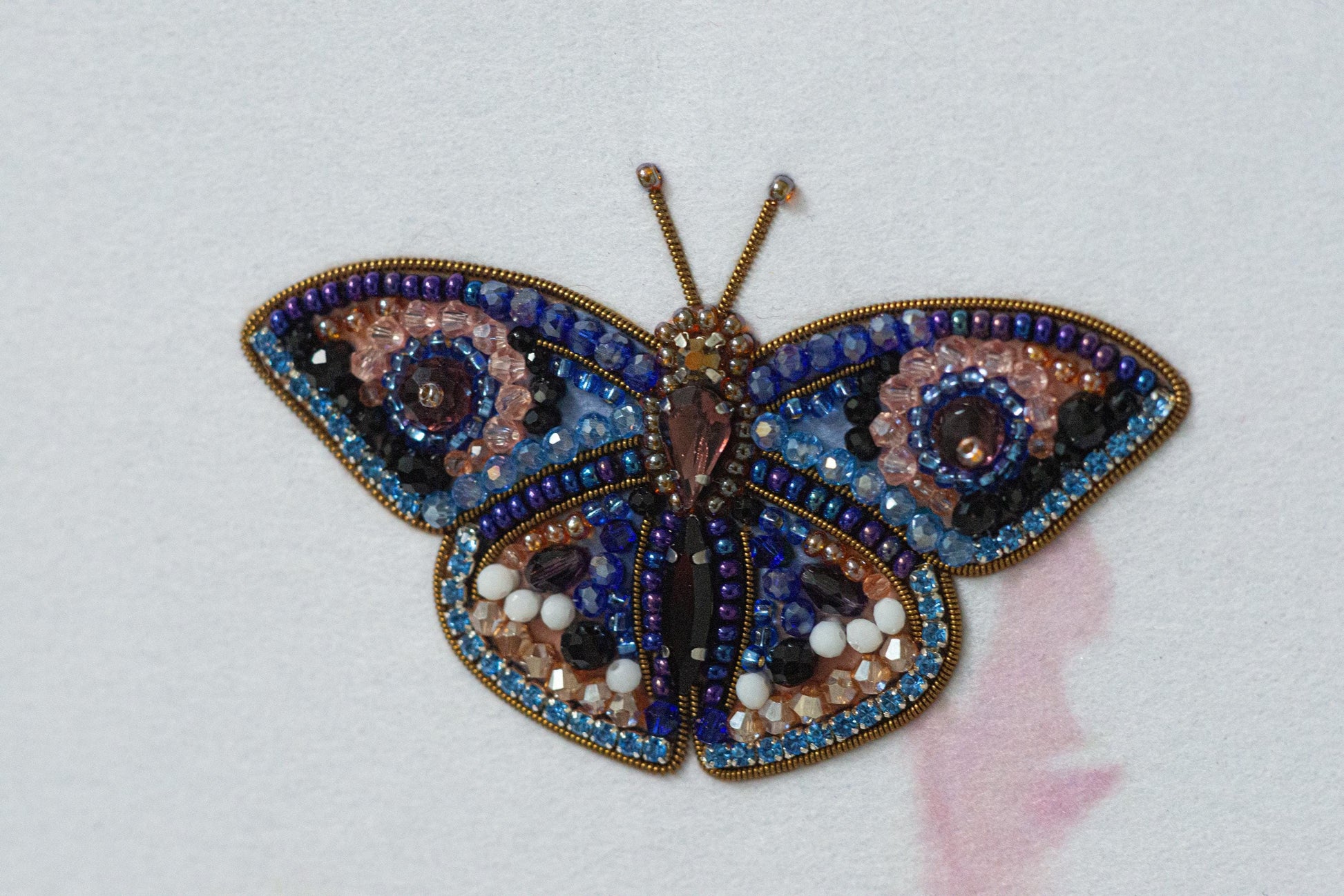 a close up of a butterfly on a white surface