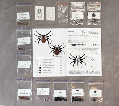 various items related to spiders, including bags of seeds, a diagram of a spider, and instructions for assembling a spider.