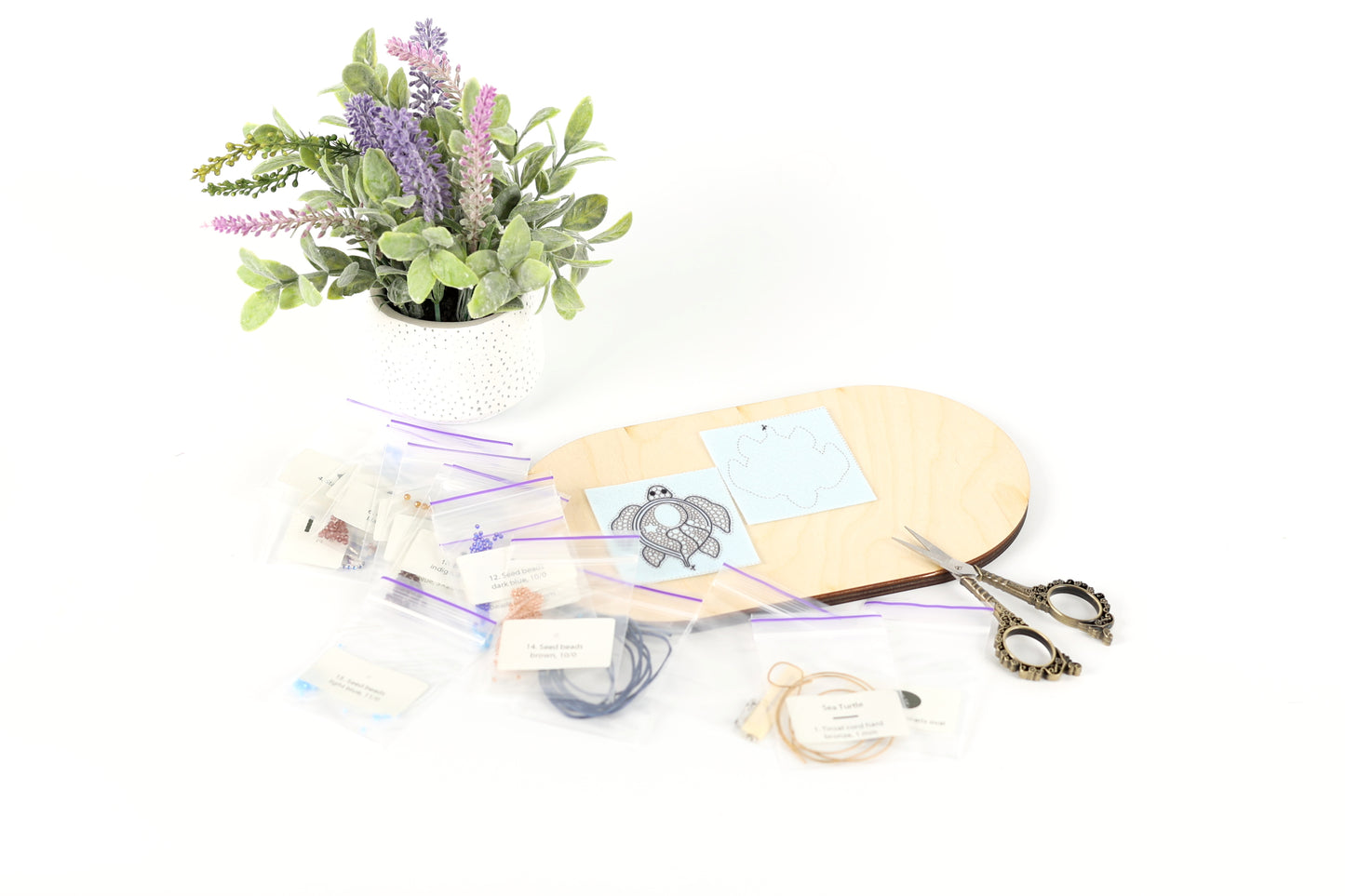 a potted plant, a wooden board with a drawing, scissors, and various craft supplies scattered on a white background.