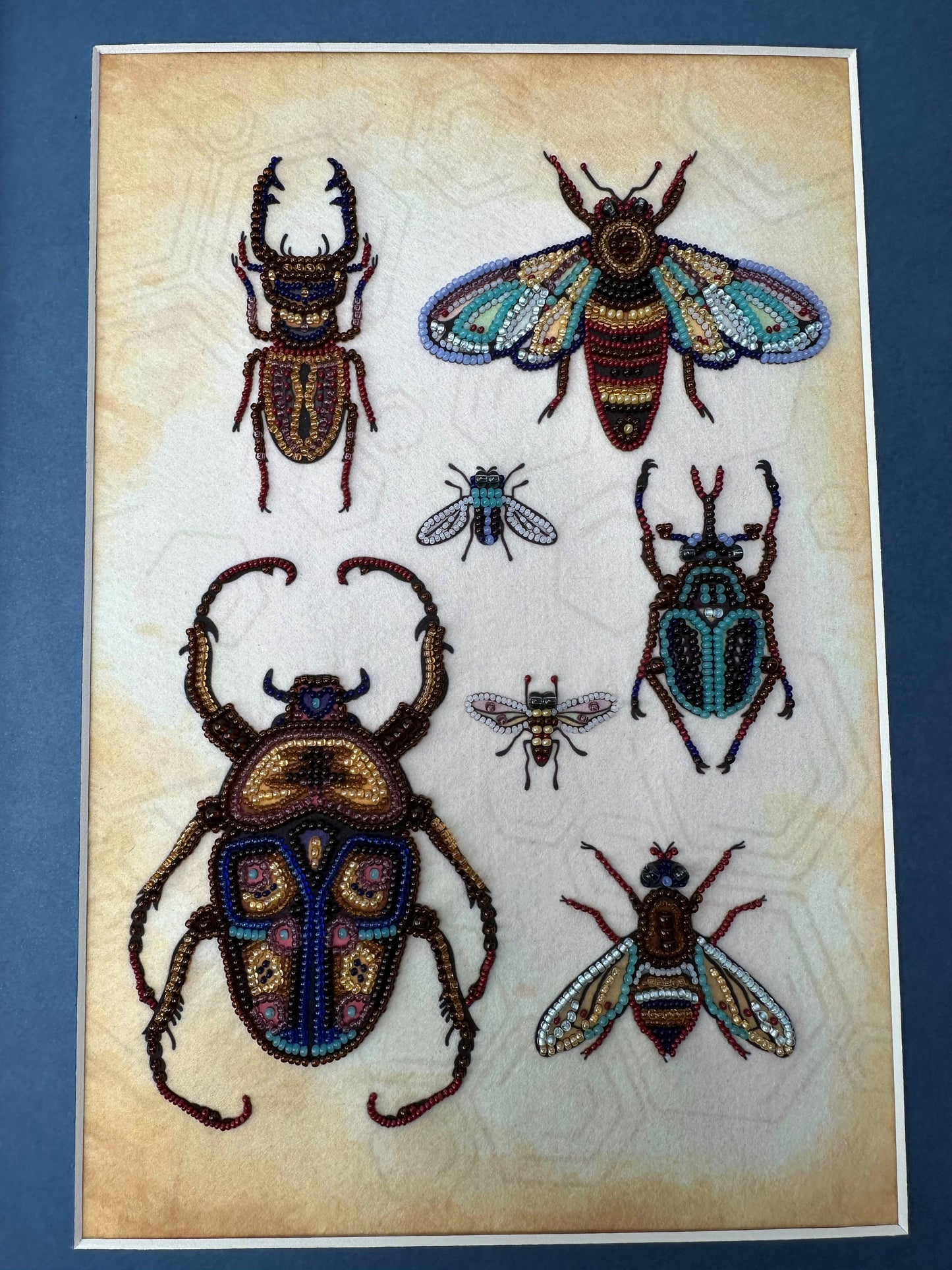 a picture of four different bugs on a blue background