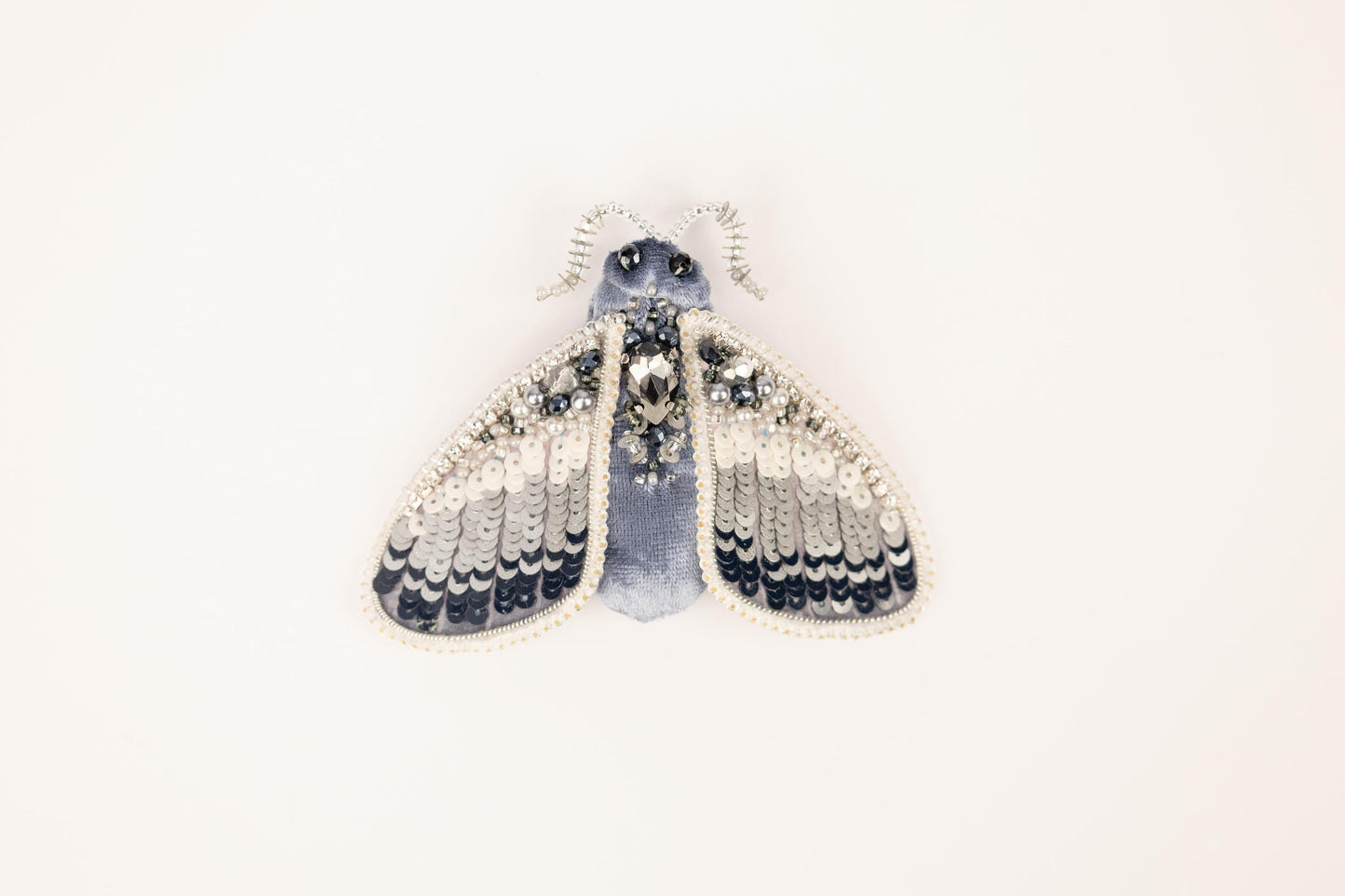 a blue and white insect on a white background