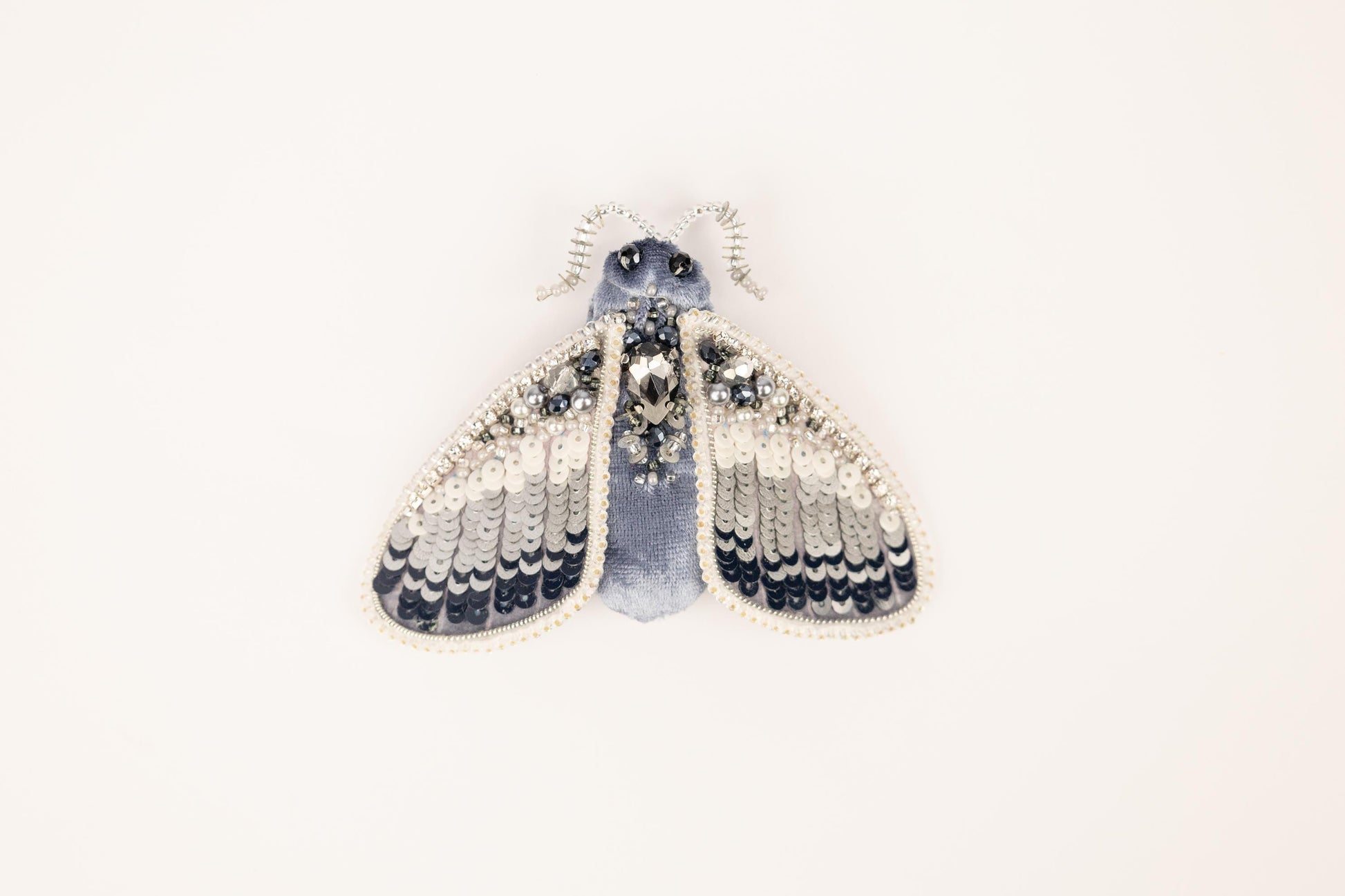 a blue and white insect on a white background
