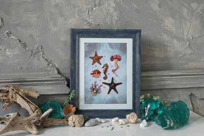 a picture of sea shells and starfish on a table