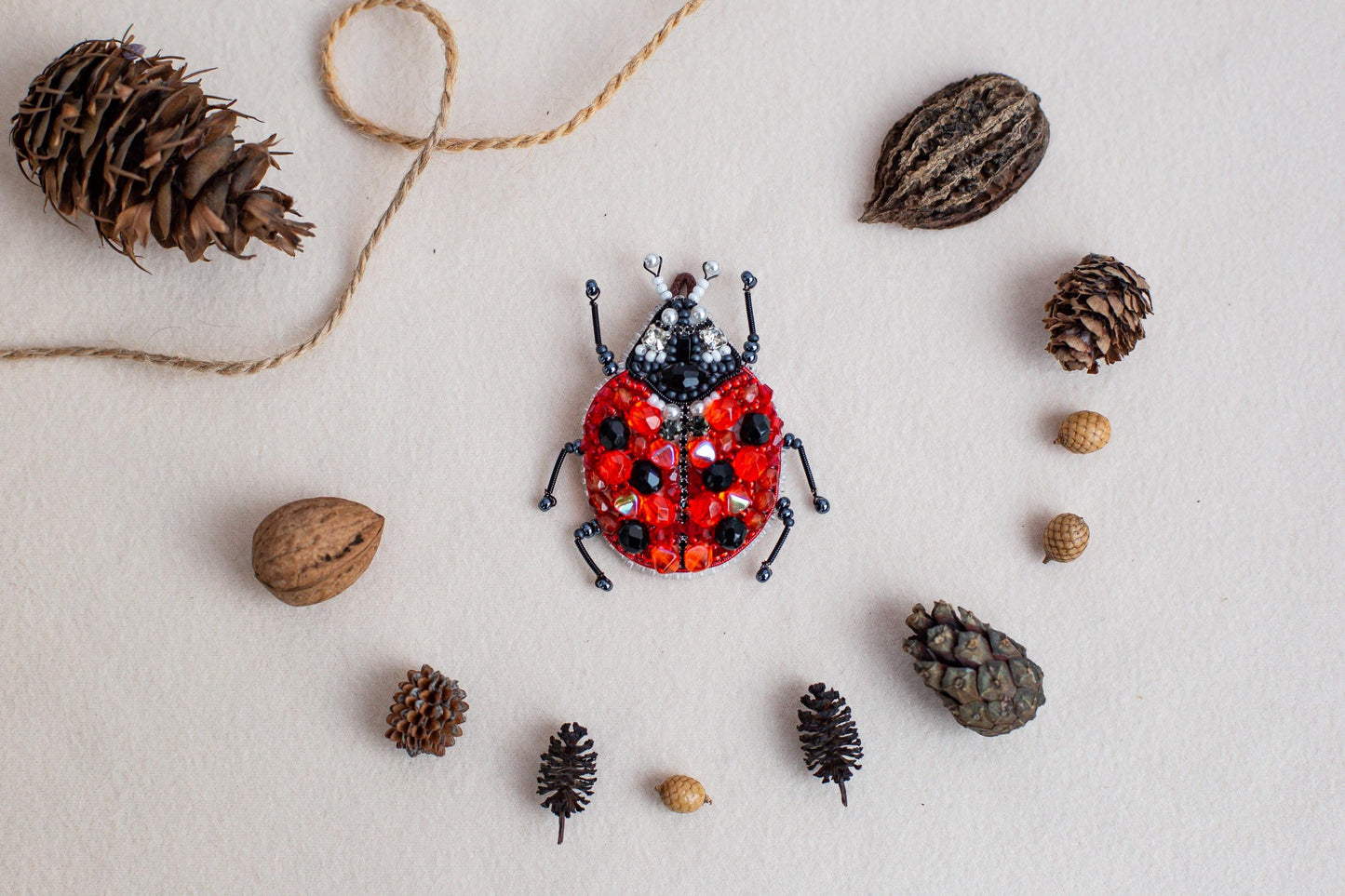 a lady bug surrounded by pine cones and cones