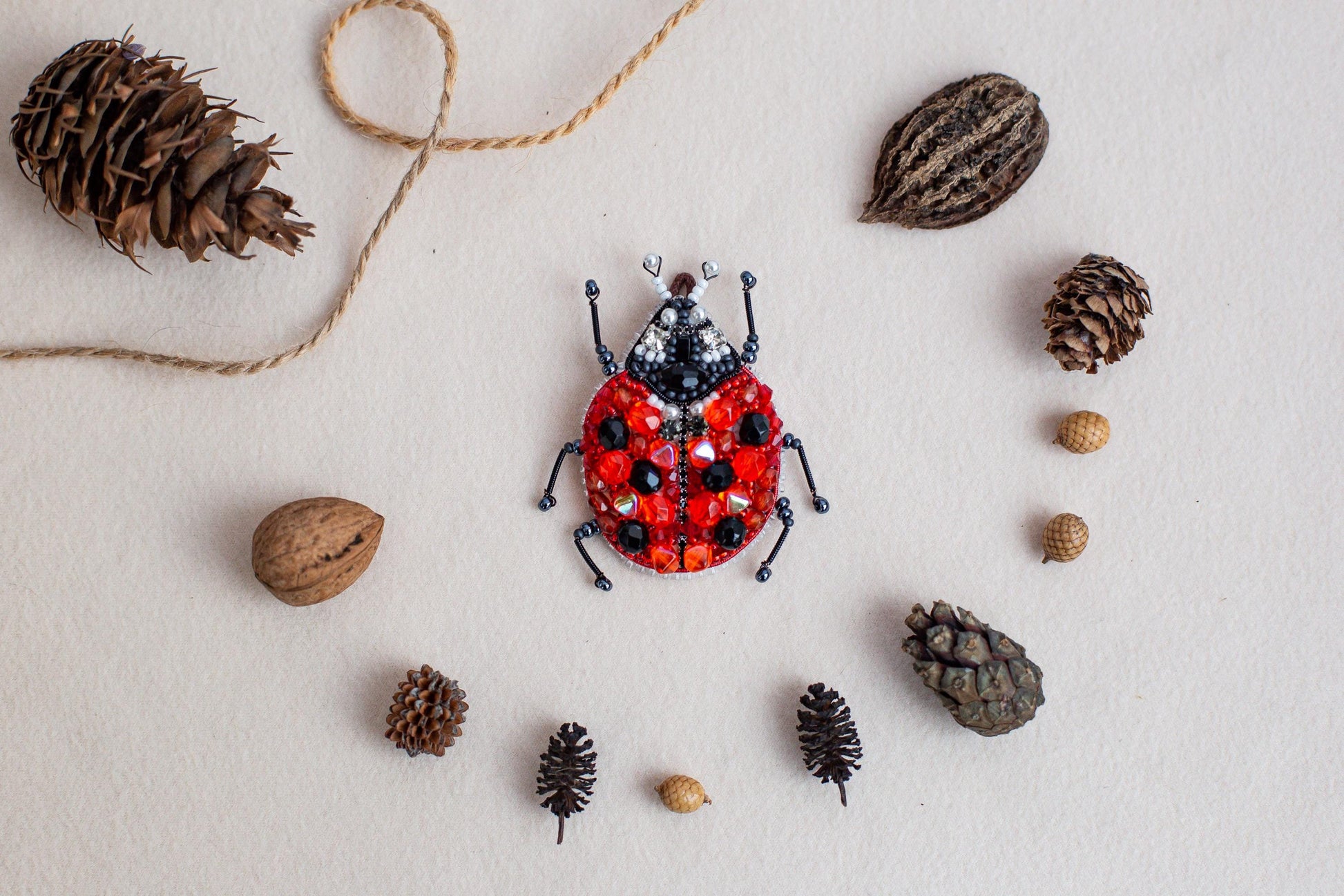 a lady bug surrounded by pine cones and cones