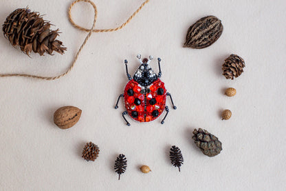 a lady bug surrounded by pine cones and cones