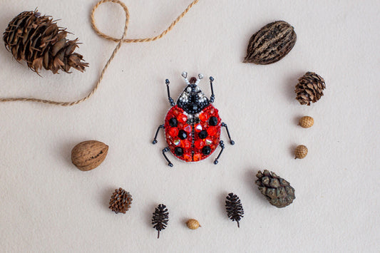 a lady bug surrounded by pine cones and cones