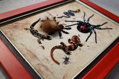 a close-up view of a framed collage of various insects and animals, including a spider, a lizard, and several other small creatures.