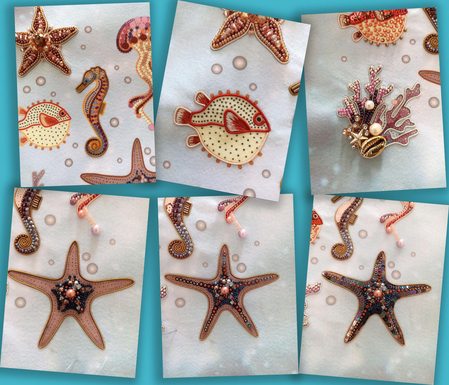 a collage of starfish, seahorse, seahorse, and seahorse