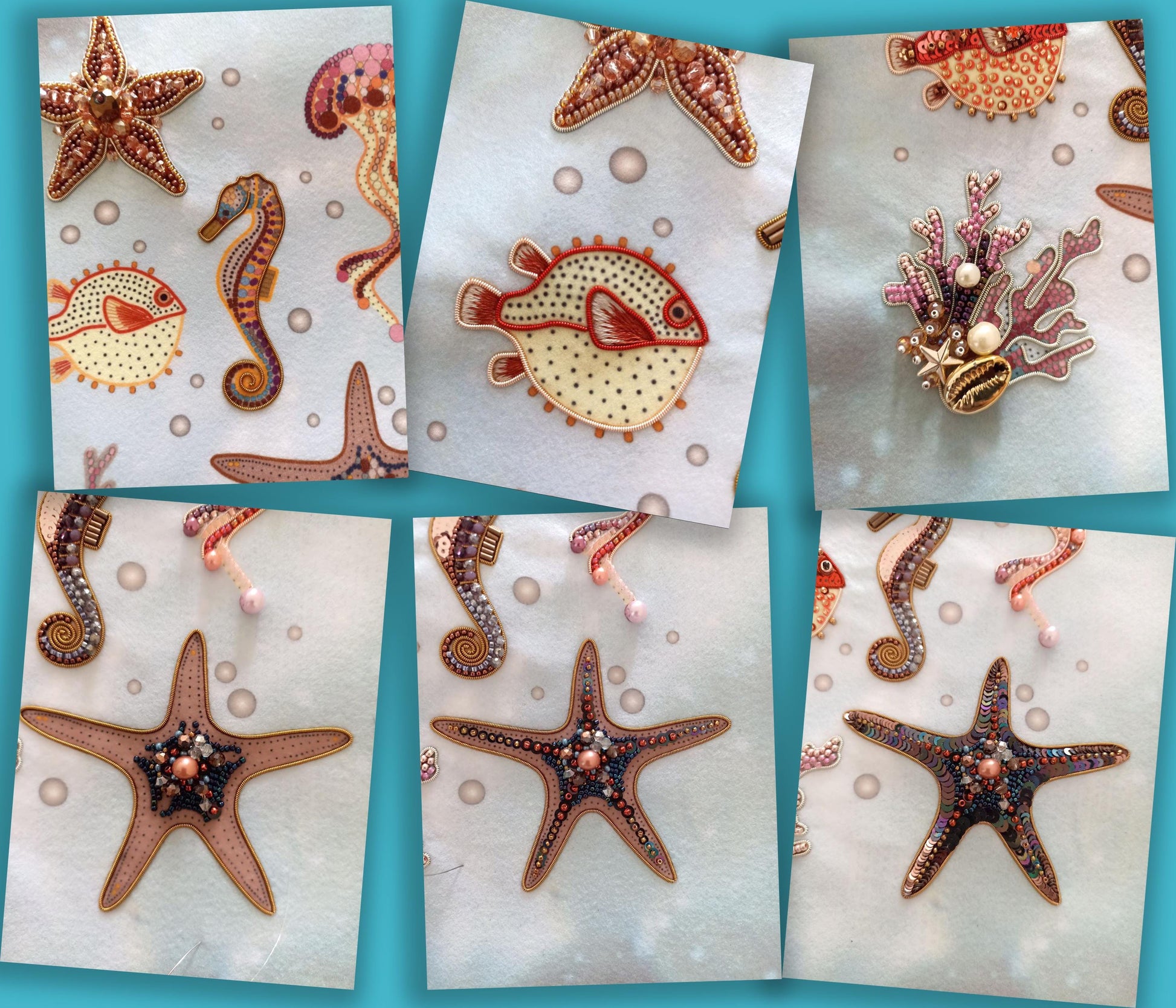 a collage of starfish, seahorse, seahorse, and seahorse