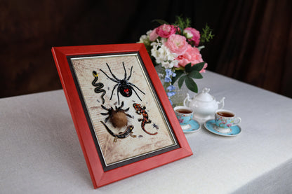 a red-framed picture of various insects, including a spider, on a table with a vase of pink flowers and two teacups.