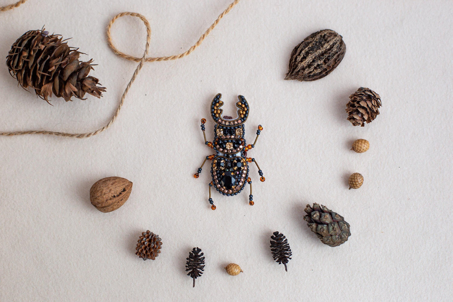 a bug sitting on top of a white surface next to pine cones