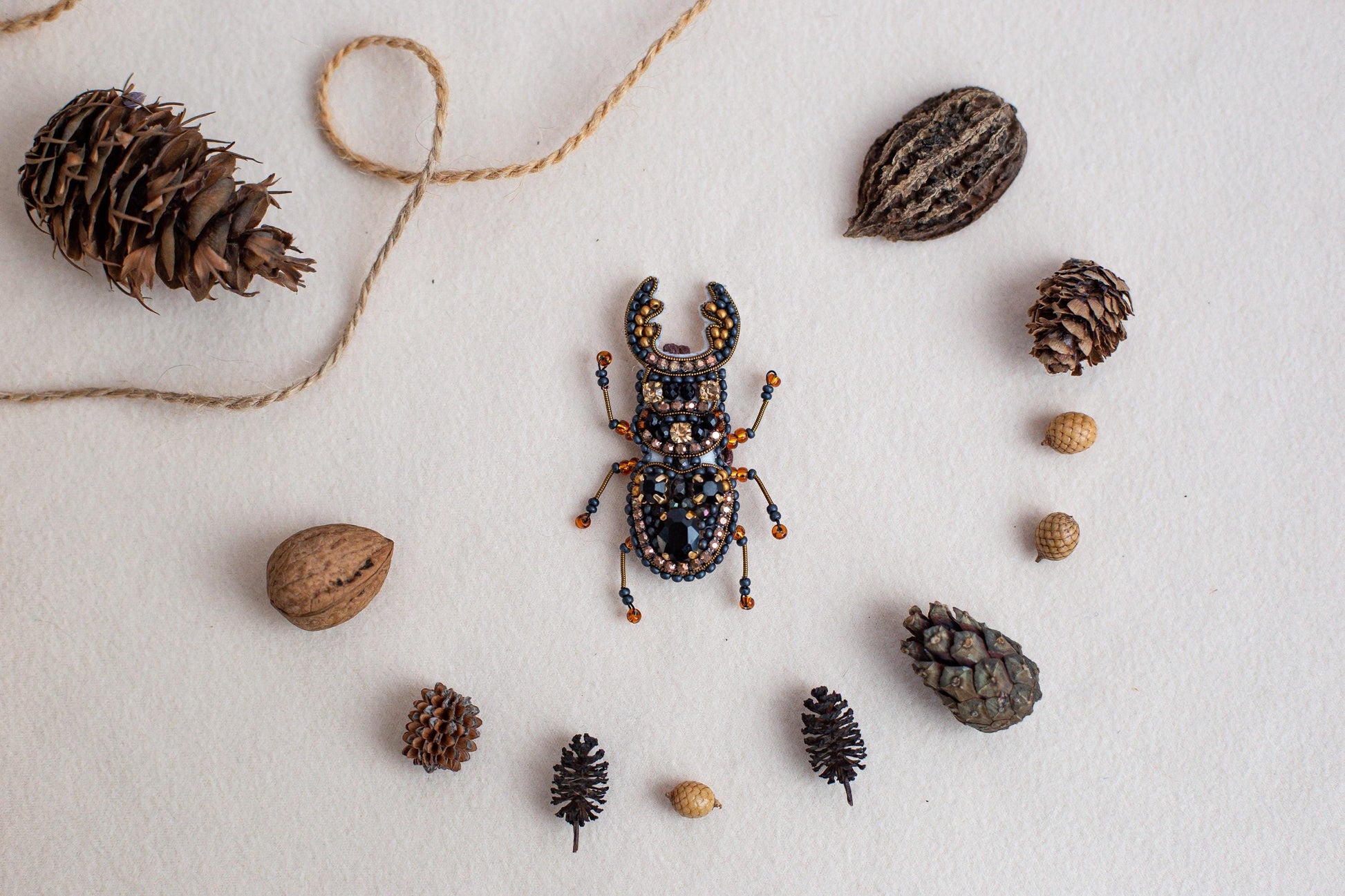 a bug sitting on top of a white surface next to pine cones