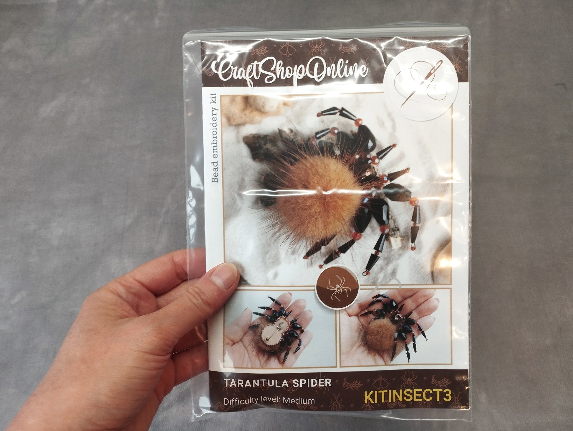 A person's hand holding a clear plastic package containing a kit for creating a Tarantula Spider.