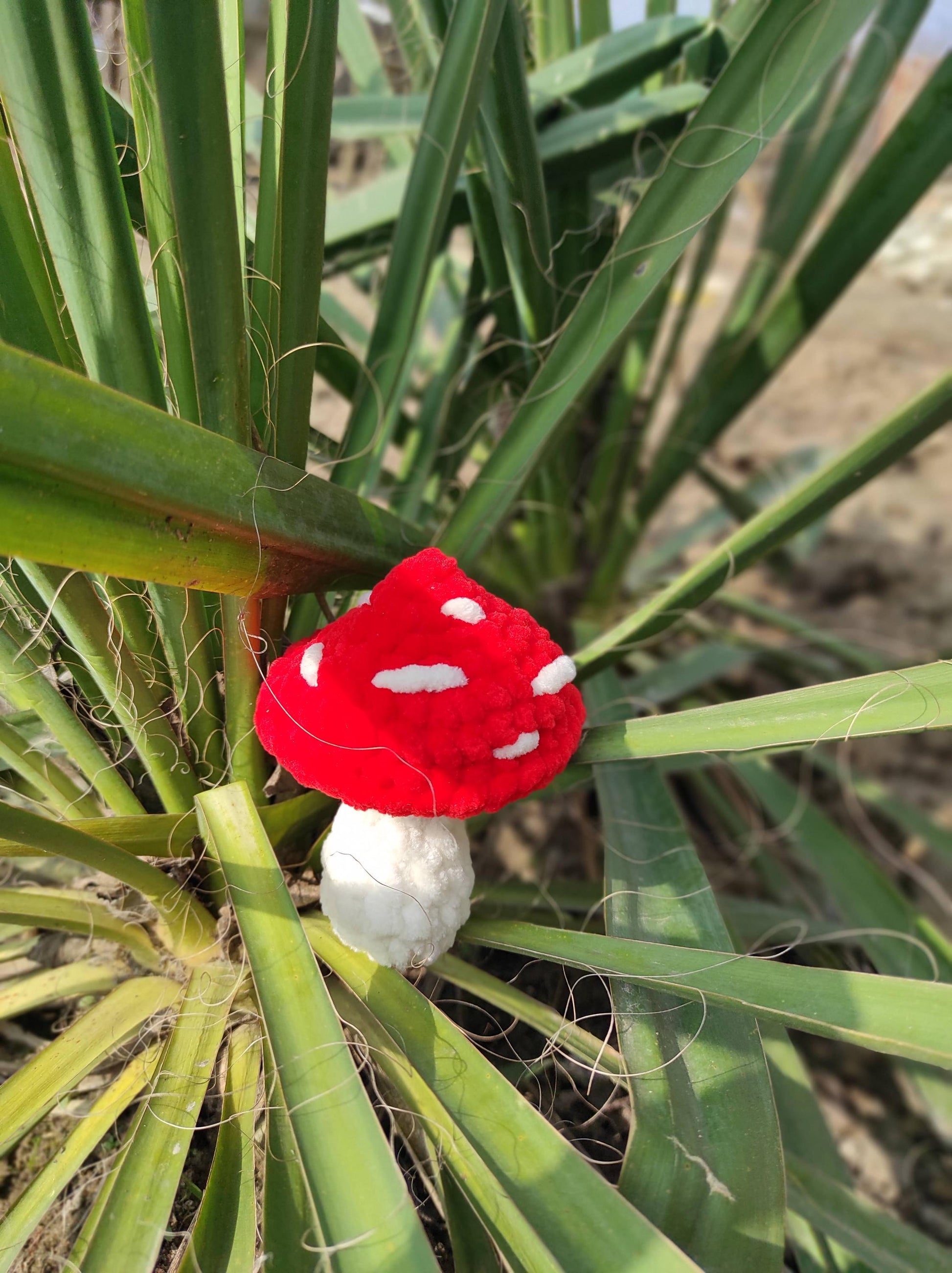 a red and white flower sitting on top of a green plant