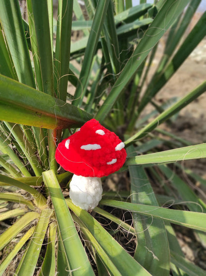a red and white flower sitting on top of a green plant