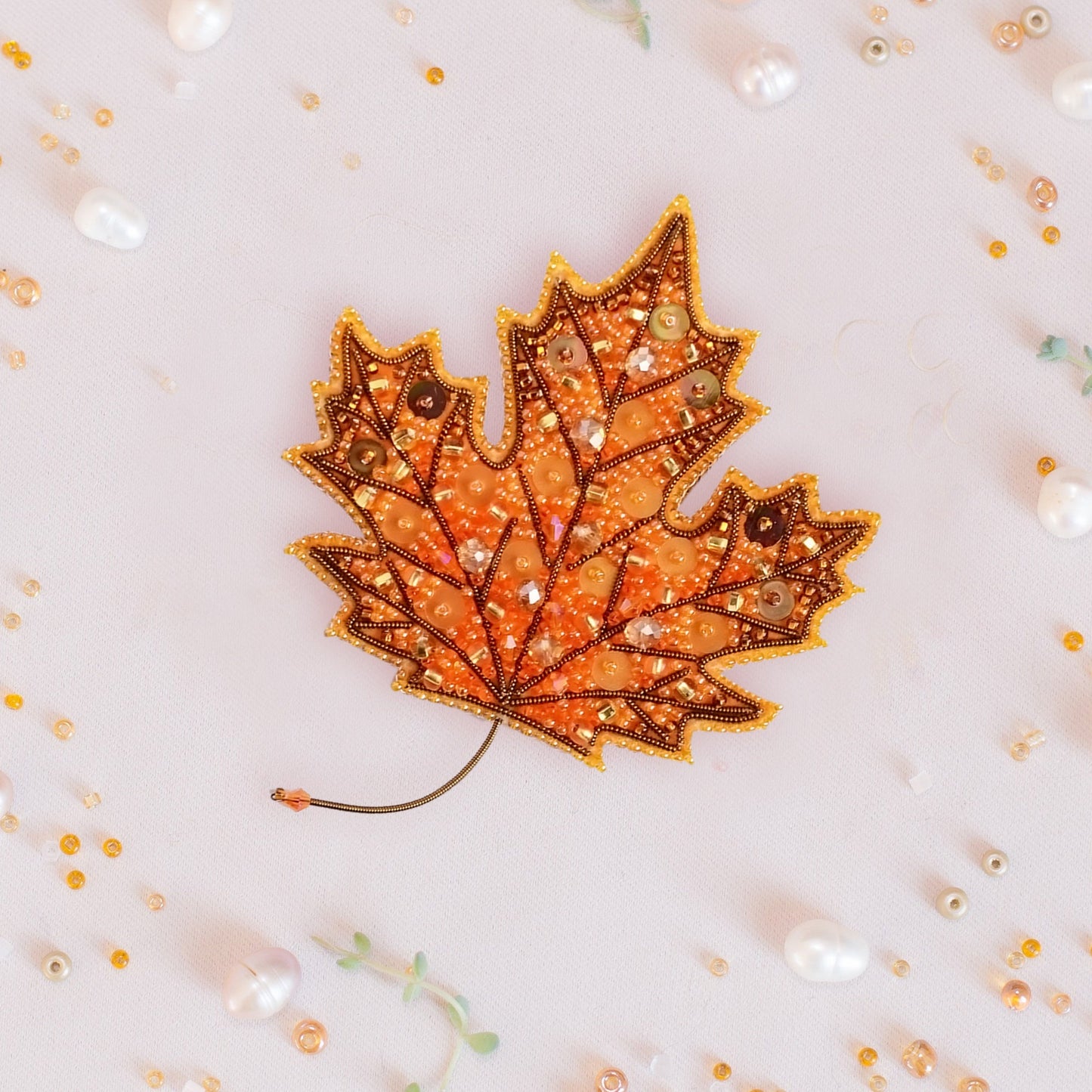 a close up of a leaf on a white background