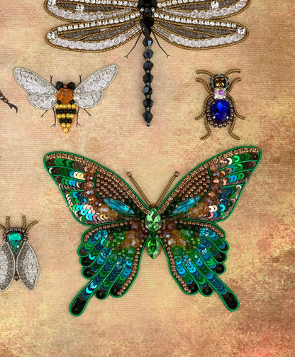 a group of insect brooches sitting on top of a piece of cloth