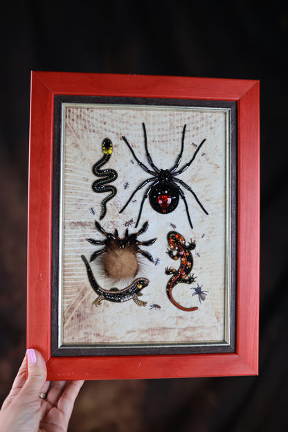 A framed collage of various insects, including a spider, a snake, a lizard, and a tarantula, displayed in a red frame against a textured background.