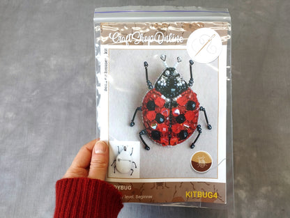 A hand holding a kit for creating a ladybug-inspired design, with a clear plastic bag containing the kit and a picture of the ladybug on it.