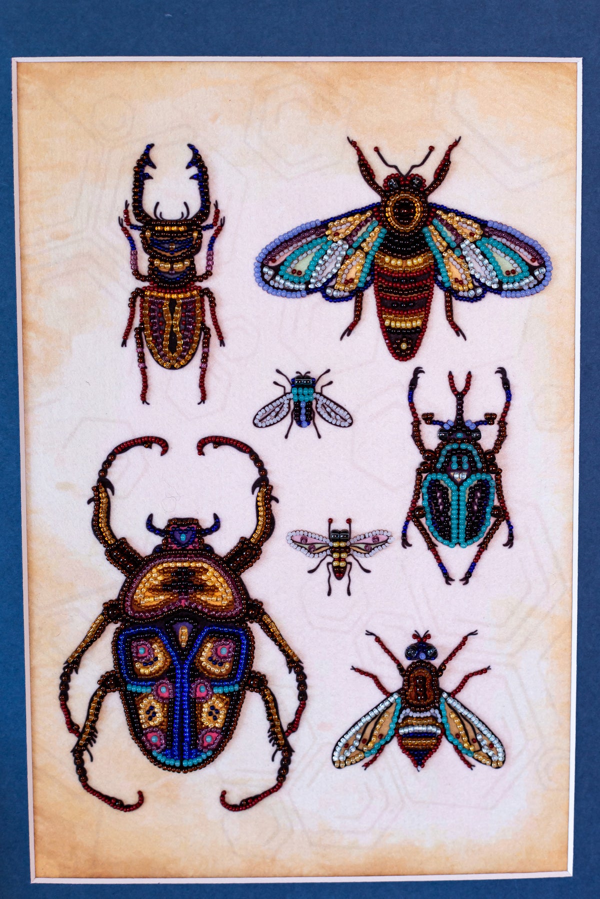 The image is a collage of various colorful and detailed insect illustrations, including a large beetle, a bee, and several smaller insects.