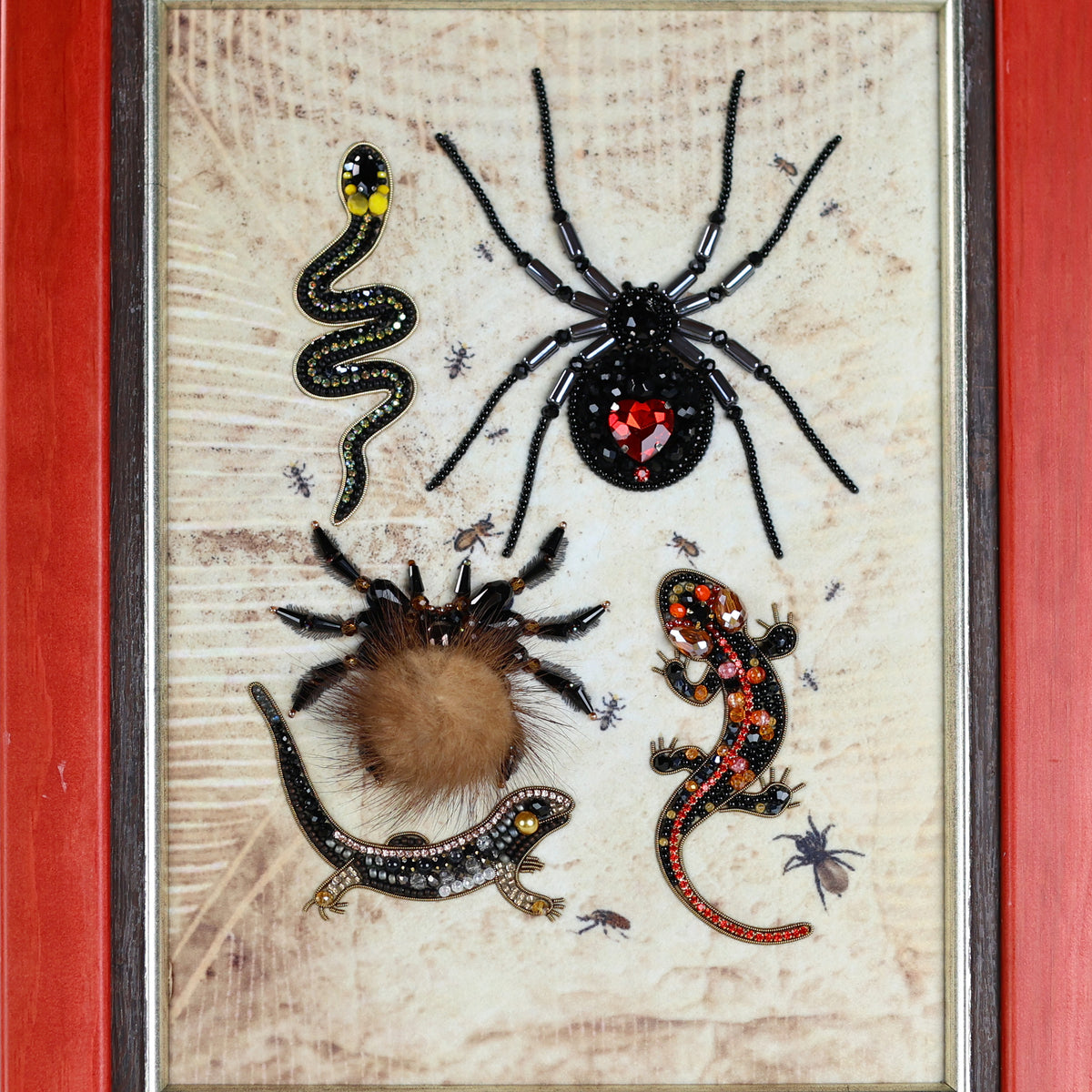 a collection of four different insects, including a spider, a snake, a lizard, and a tarantula, all displayed together in a frame.
