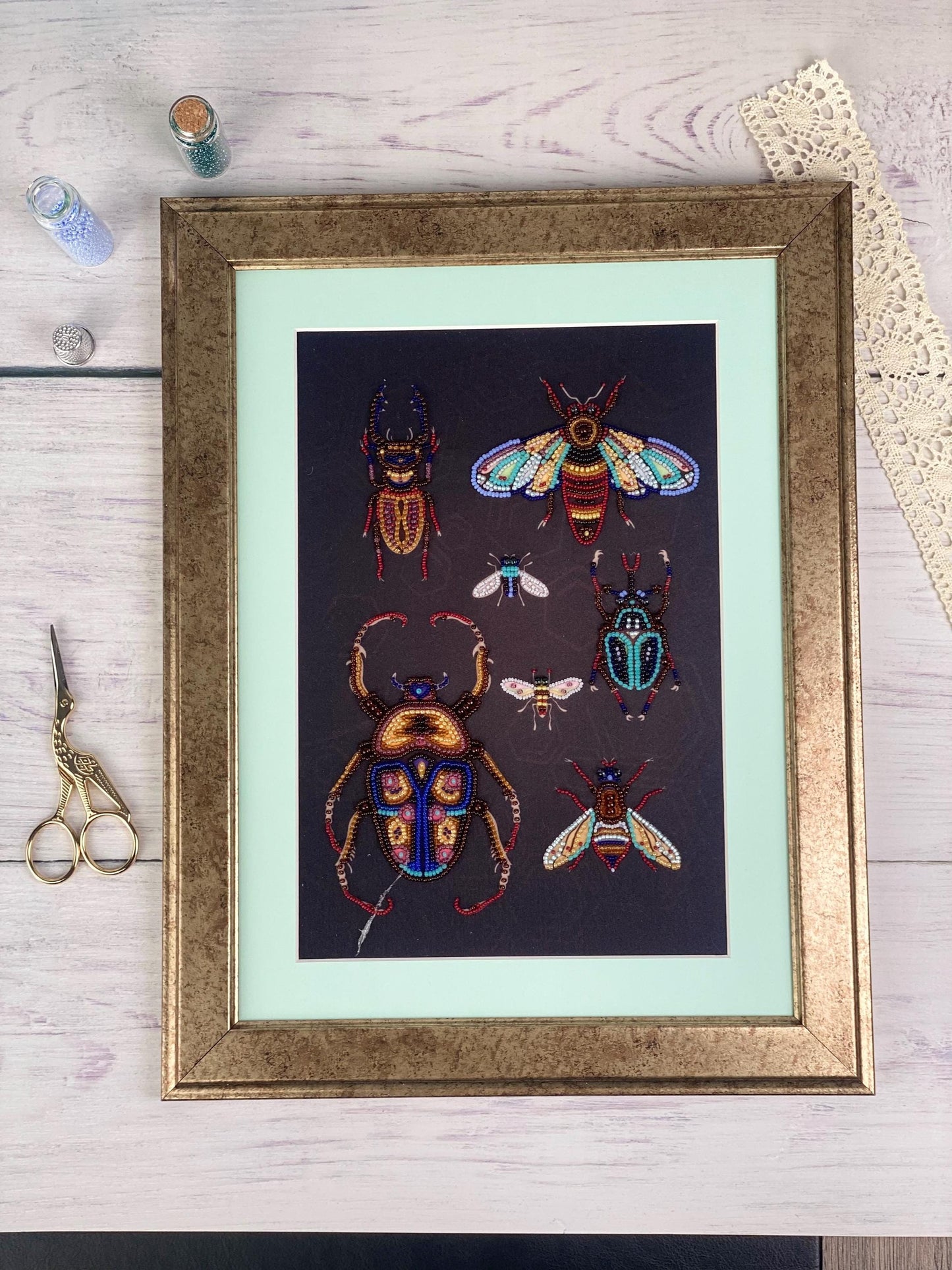 a framed picture of a group of bugs