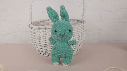 Plush Bunny - Crochet Amigurumi DIY kit