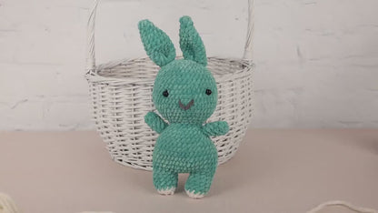Crochet Bunny Plushie - Amigurumi Toys Readymade