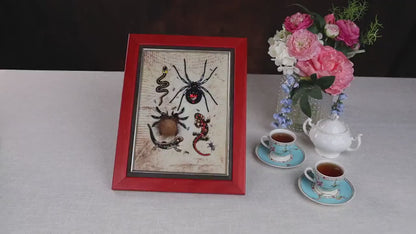 Spooky Spider, Snake & Lizard – Beaded Picture DIY Kits