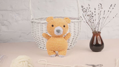 Plush Bear - Crochet Amigurumi DIY kit