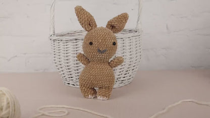 Crochet Bunny Plushie - Amigurumi Toys Readymade