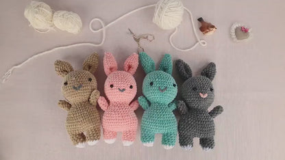 Plush Bunny - Crochet Amigurumi DIY kit